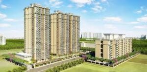 mrg ddjay floors sector 106 gurgaon