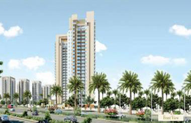 adani oyster grande