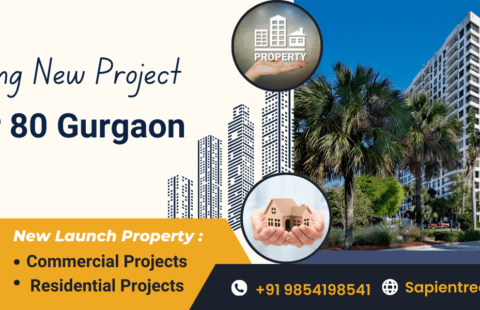 Sector 80 Gurgaon
