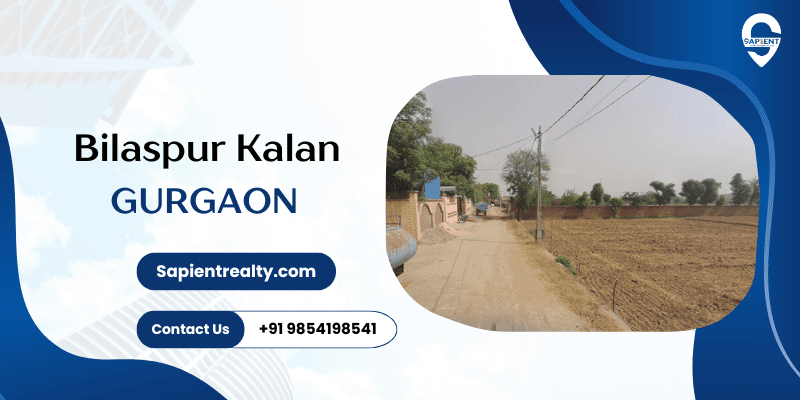 Bilaspur Kalan Gurgaon 1