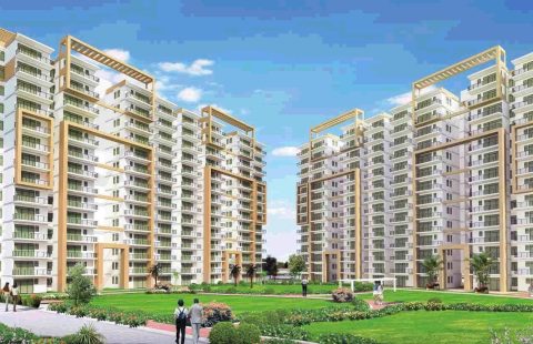 Pivotal Riddhi Siddhi Sector 99 Gurgaon