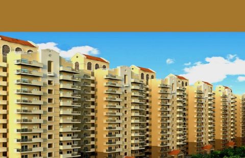 Pivotal Paradise Sector 62 Gurgaon